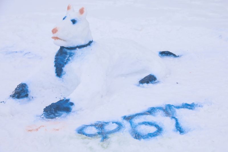 фбт