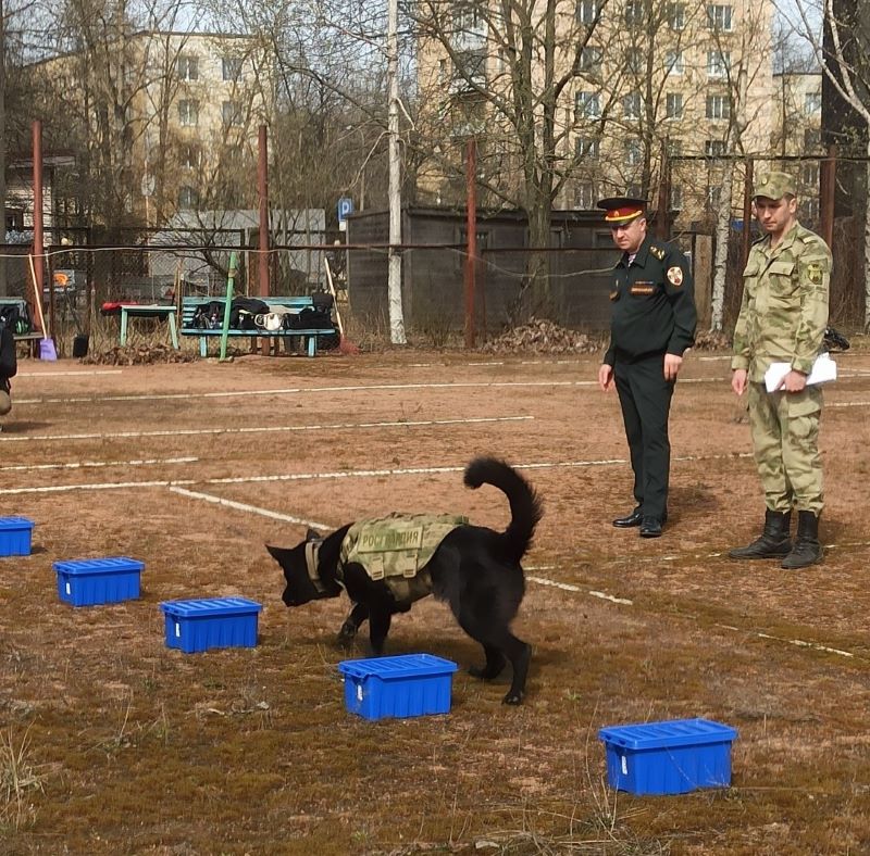 фбт