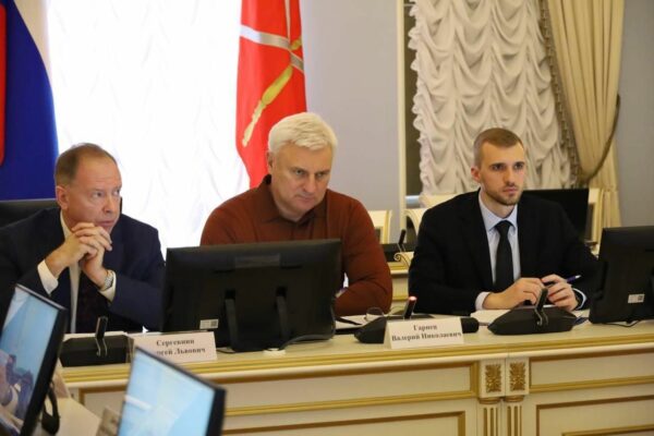 Ученые ЮФ приняли участие в работе постоянной комиссии Законодательного собрания Санкт-Петербурга