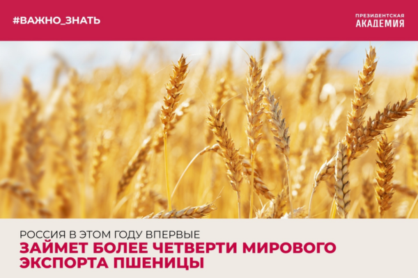 Тема дня: Россия в этом году впервые займет более четверти мирового экспорта пшеницы