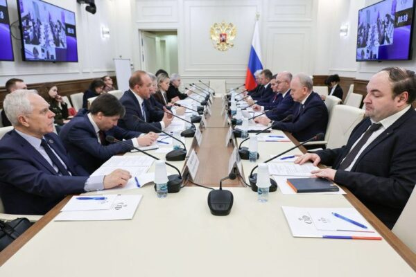 Доцент юридического факультета Ирина Алехина выступила с докладом в Совете Федерации Федерального Собрания РФ