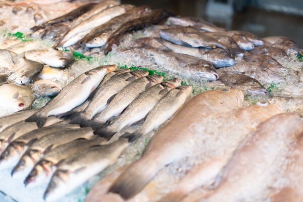 От сырья к ценному продукту: модернизация рыбной отрасли приносит России значительную экспортную выручку